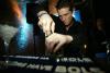 Patrick Kämmerer - Bols Master Battle 2007 
Category: Speedmixing